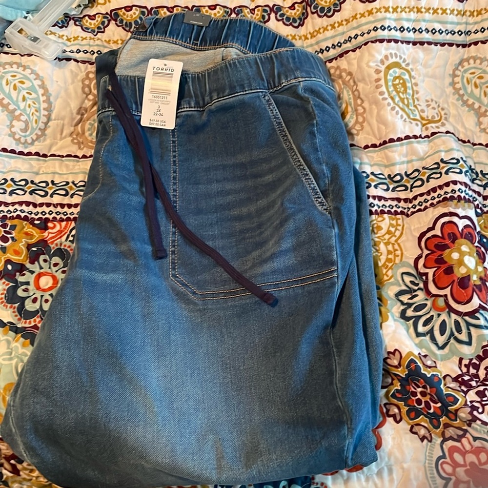 Torrid denim joggers